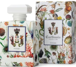 A’mmare Eau de Parfum
