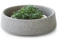 Anzuchtschale für Microgreens