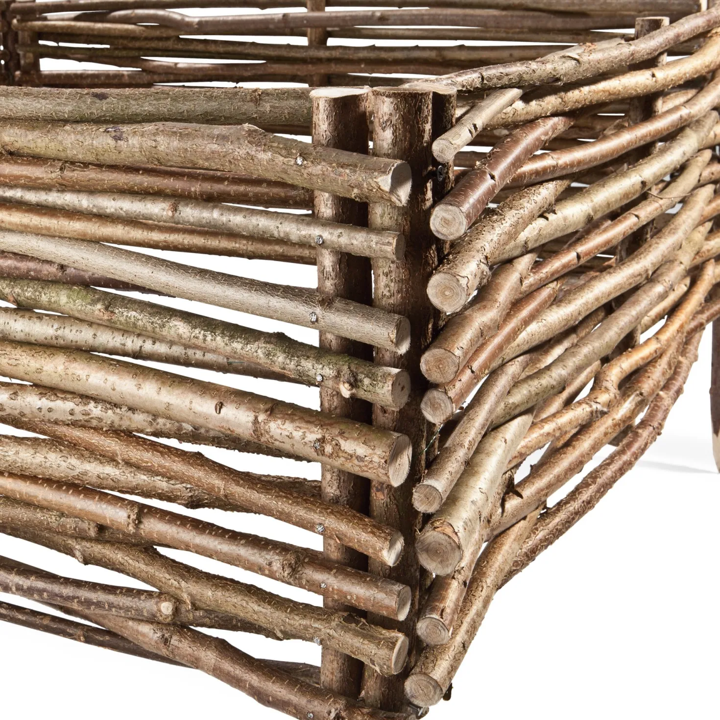 Beetumrandung Hasel