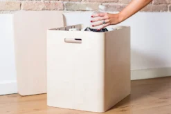 Behälter Ecosmol