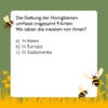 Bienen-Quiz