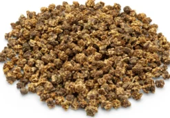 Bio-Saatgut Microgreens