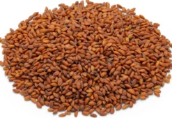 Bio-Saatgut Microgreens