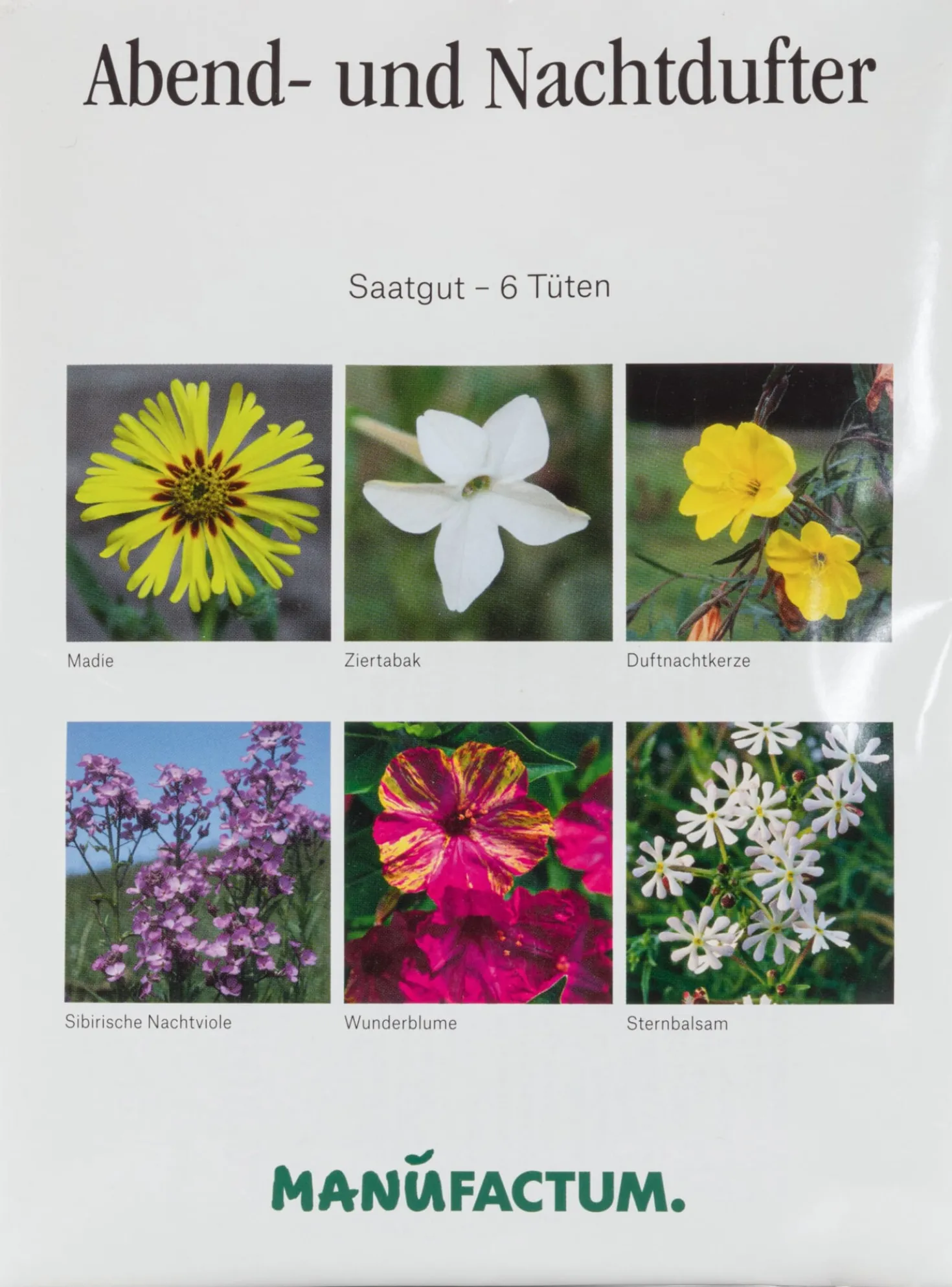 Blumensamen Abend- und Nachtdufter