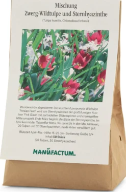 Blumenzwiebelmischung Zwerg-Wildtulpe und Stern-Hyazinthe