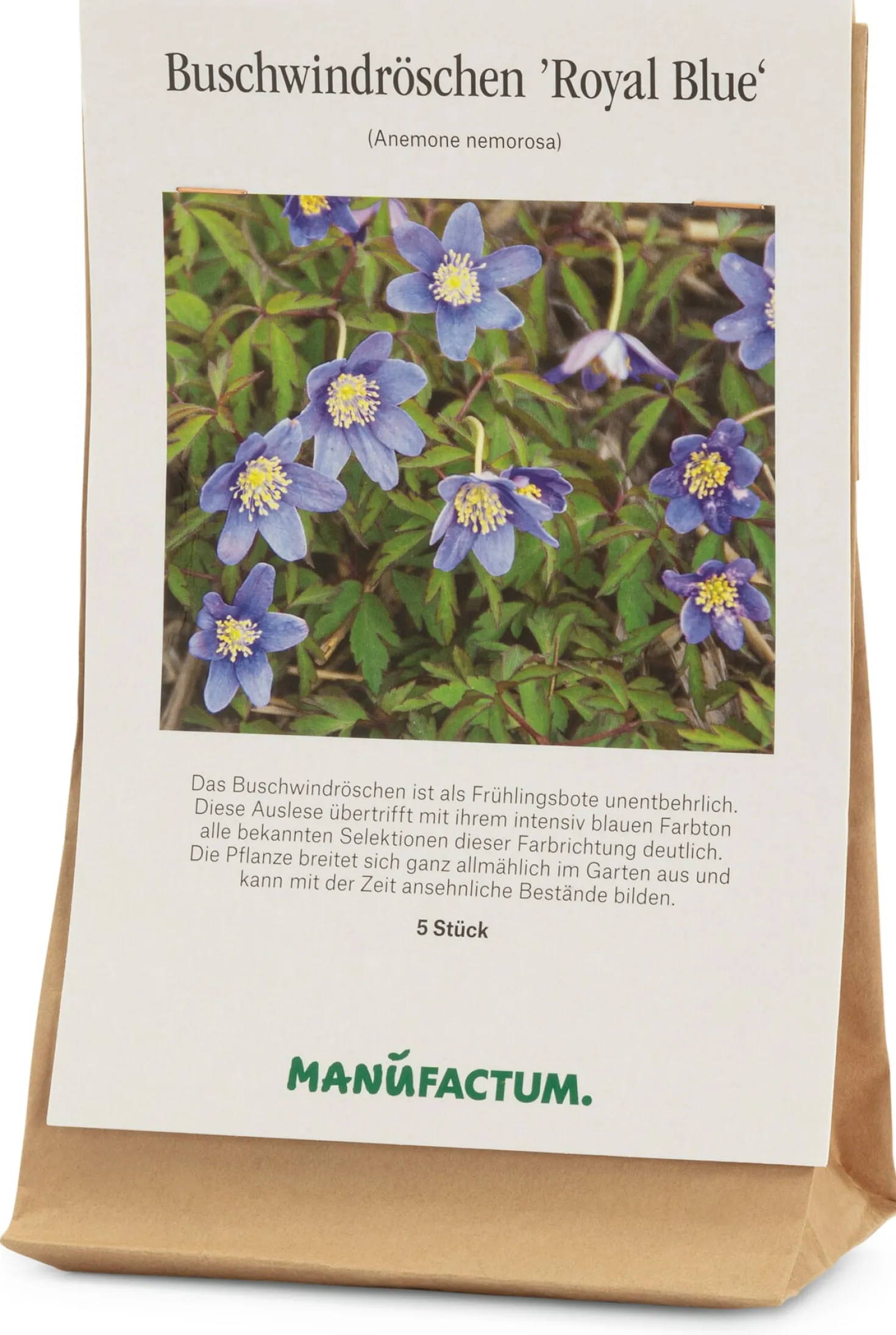 Blumenzwiebeln Buschwindröschen 'Royal Blue'