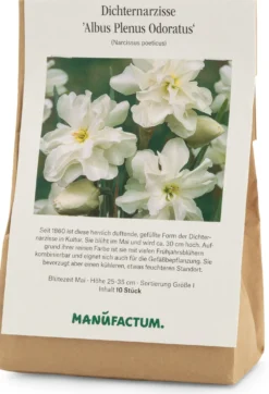 Blumenzwiebeln Dichternarzisse 'Albus Plenus Odoratus'