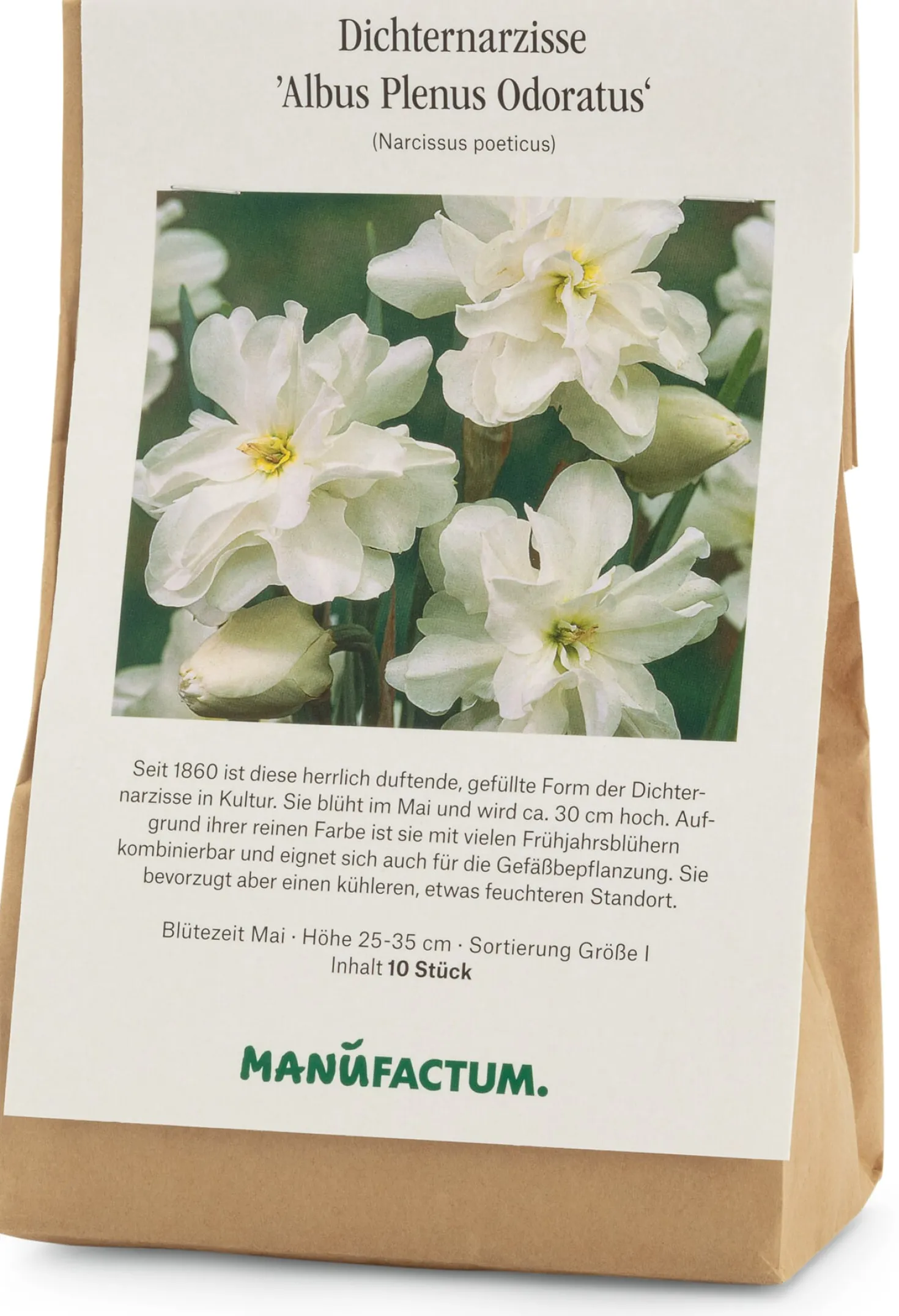 Blumenzwiebeln Dichternarzisse 'Albus Plenus Odoratus'