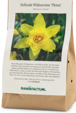 Blumenzwiebeln Duftende Wildnarzisse 'Plenus'