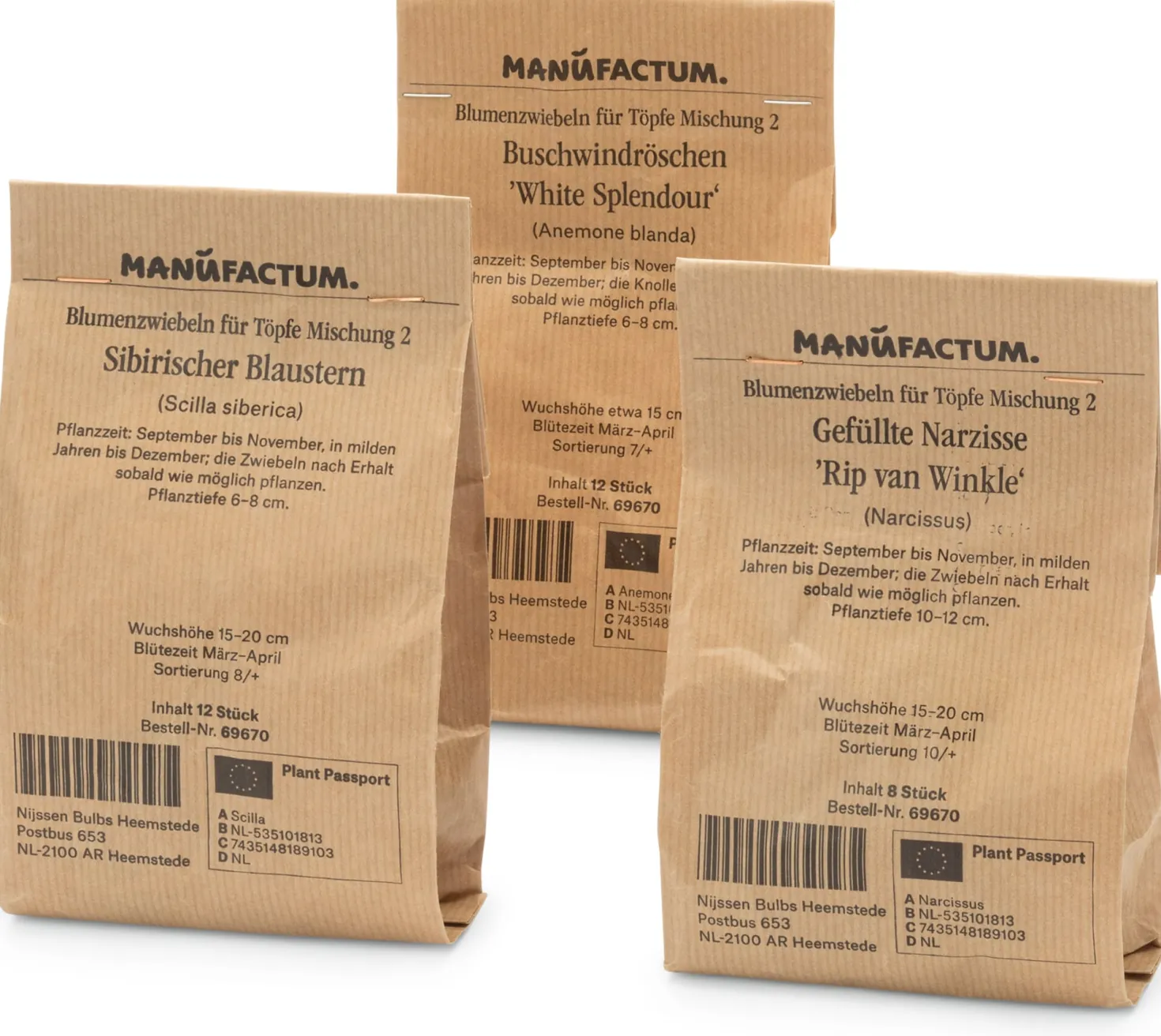 Blumenzwiebeln für Töpfe Mischung 2