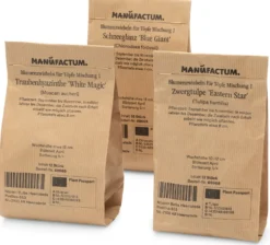 Blumenzwiebeln für Töpfe Mischung 1