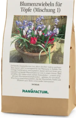 Blumenzwiebeln für Töpfe Mischung 1