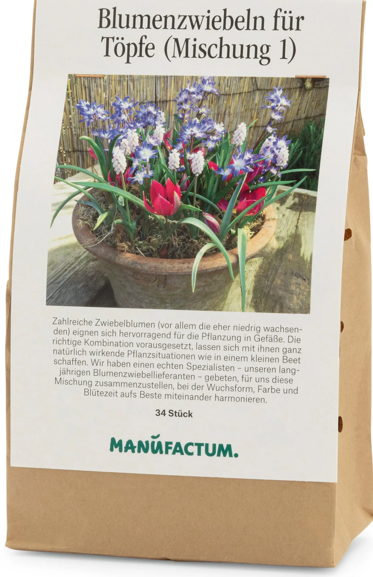 Blumenzwiebeln für Töpfe Mischung 1