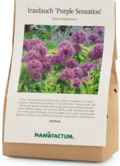 Blumenzwiebeln Iranlauch 'Purple Sensation'
