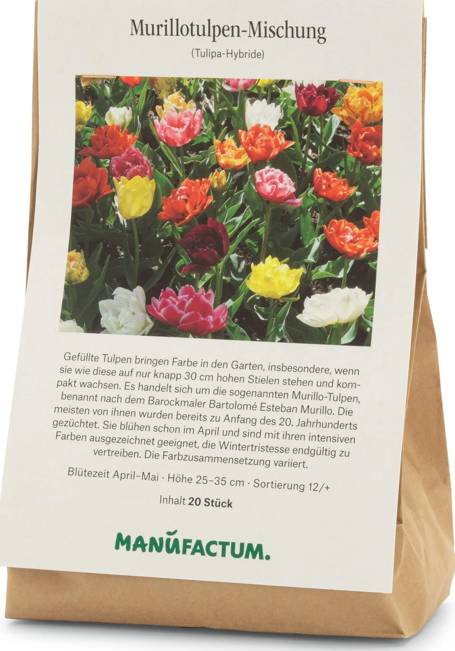 Blumenzwiebeln Murillo-Tulpen Mischung