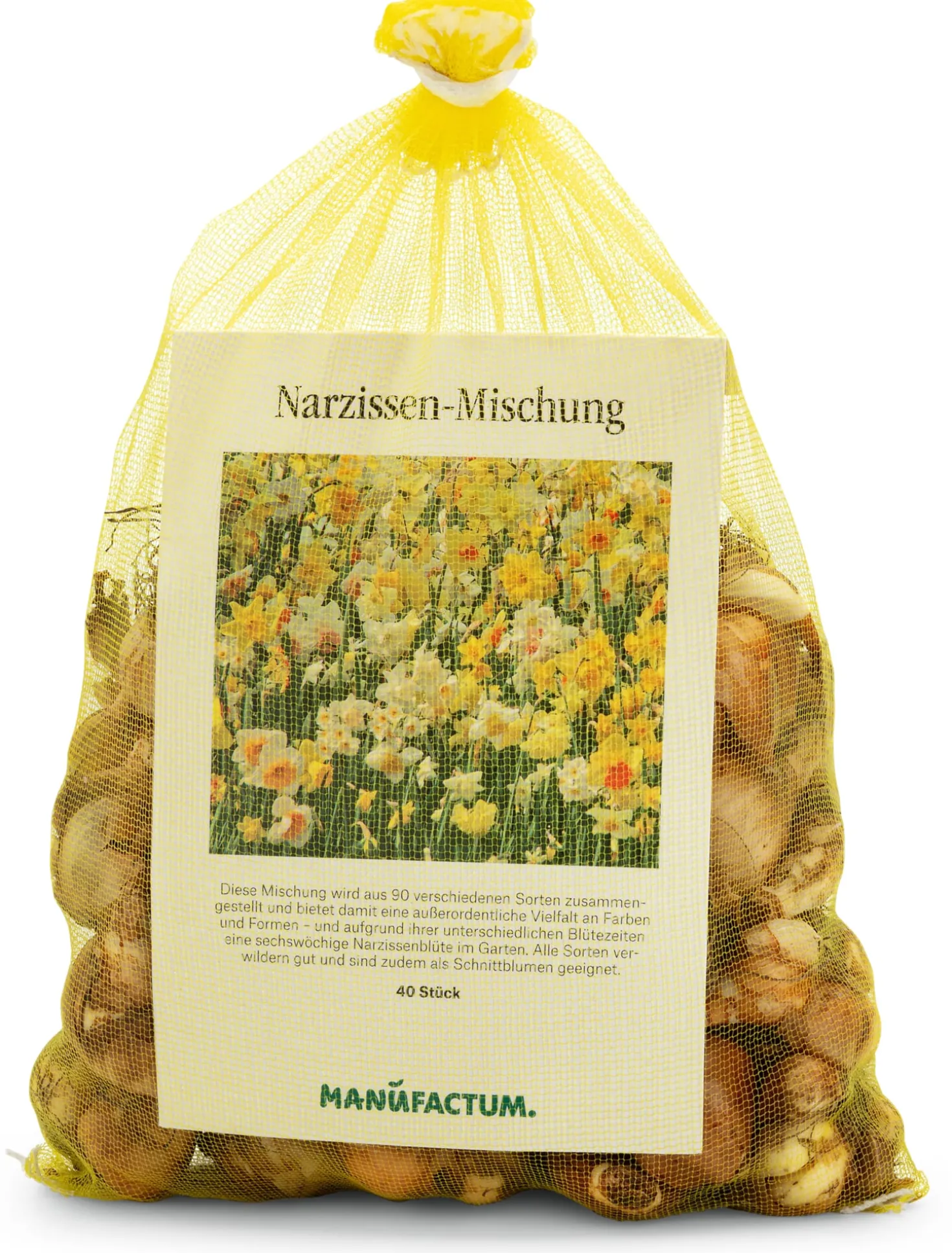 Blumenzwiebeln Narzissen-Mischung