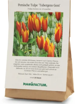 Blumenzwiebeln Persische Tulpe 'Tubergens Gem'