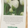 Blumenzwiebeln Päonienblütige Tulpe 'Mount Tacoma'