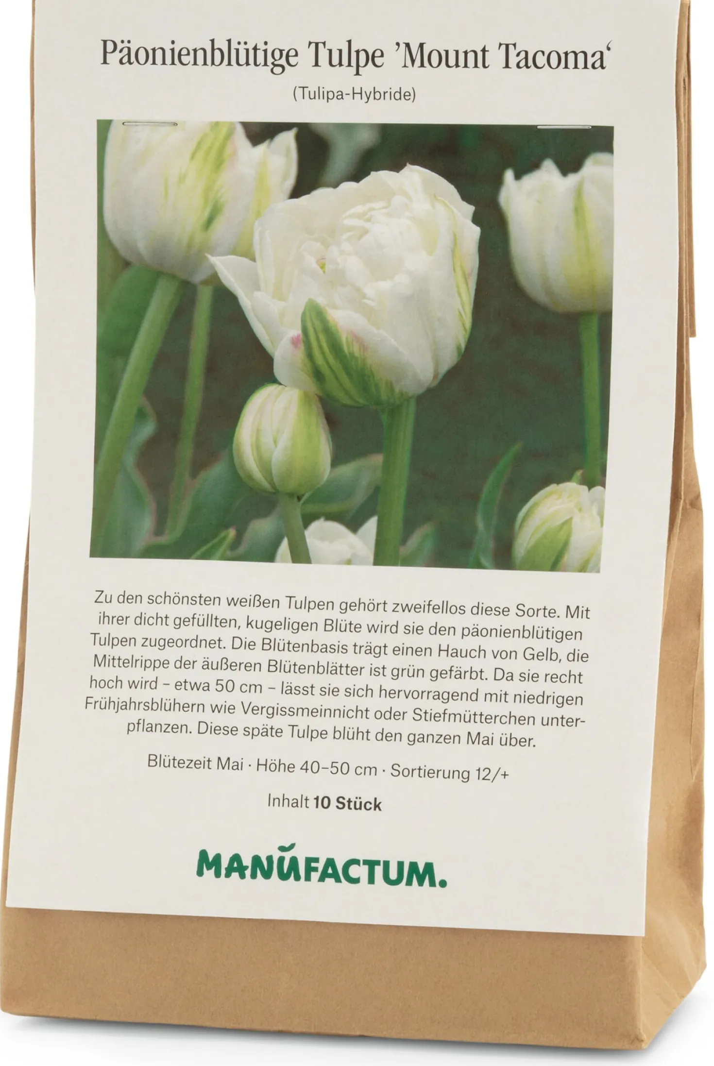 Blumenzwiebeln Päonienblütige Tulpe 'Mount Tacoma'