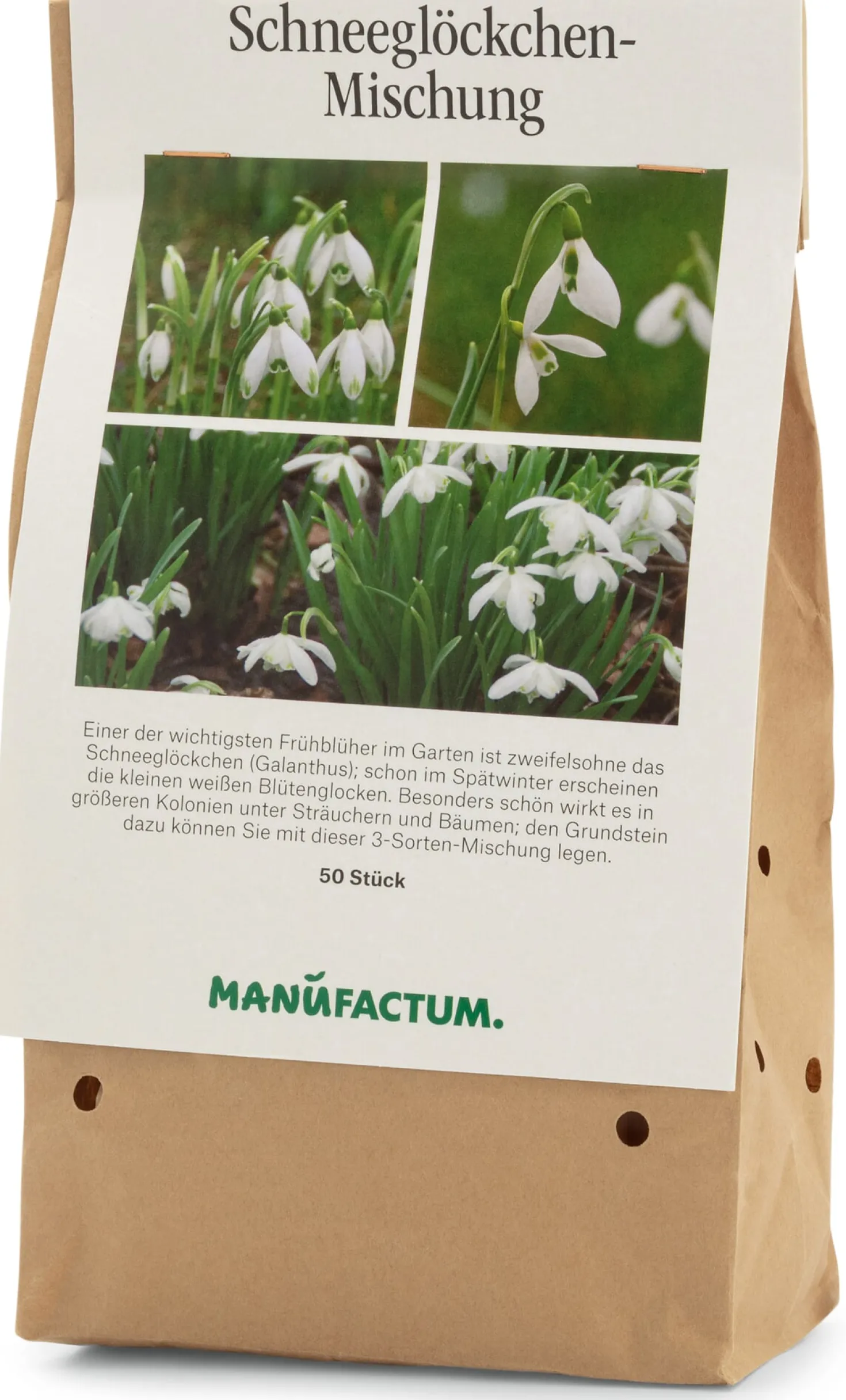 Blumenzwiebeln Schneeglöckchen-Mischung