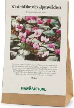 Blumenzwiebeln Winterblühendes Alpenveilchen