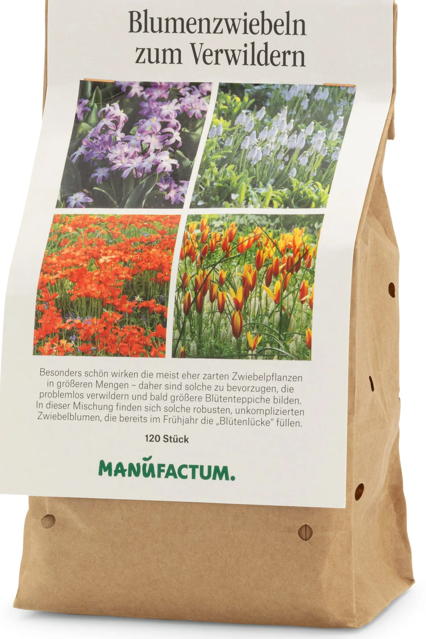Blumenzwiebeln zum Verwildern