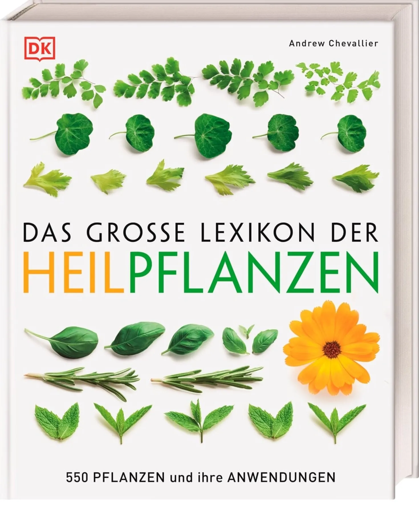 Das große Lexikon der Heilpflanzen