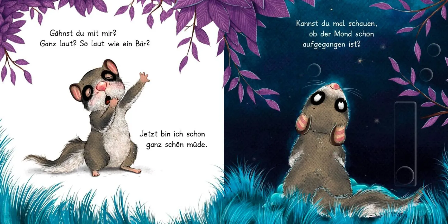 Der kleine Siebenschläfer: Bringst du mich ins Bett?