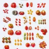 Die Gourmet-Bibel Italien