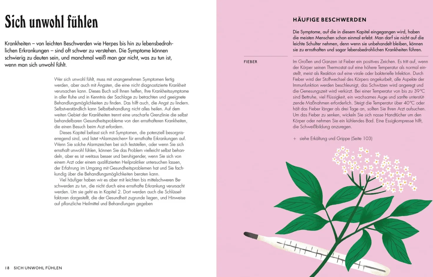 Die pflanzliche Hausapotheke