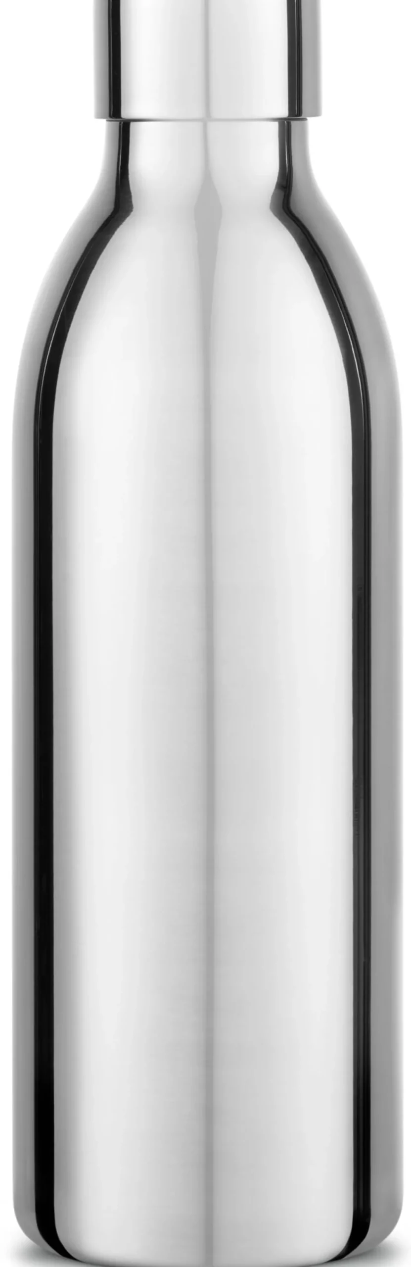 Edelstahlflasche zu Wassersprudler Carbonator 3