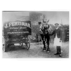 Fentimans Curiosity Cola
