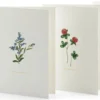 Grußkarten Blumen
