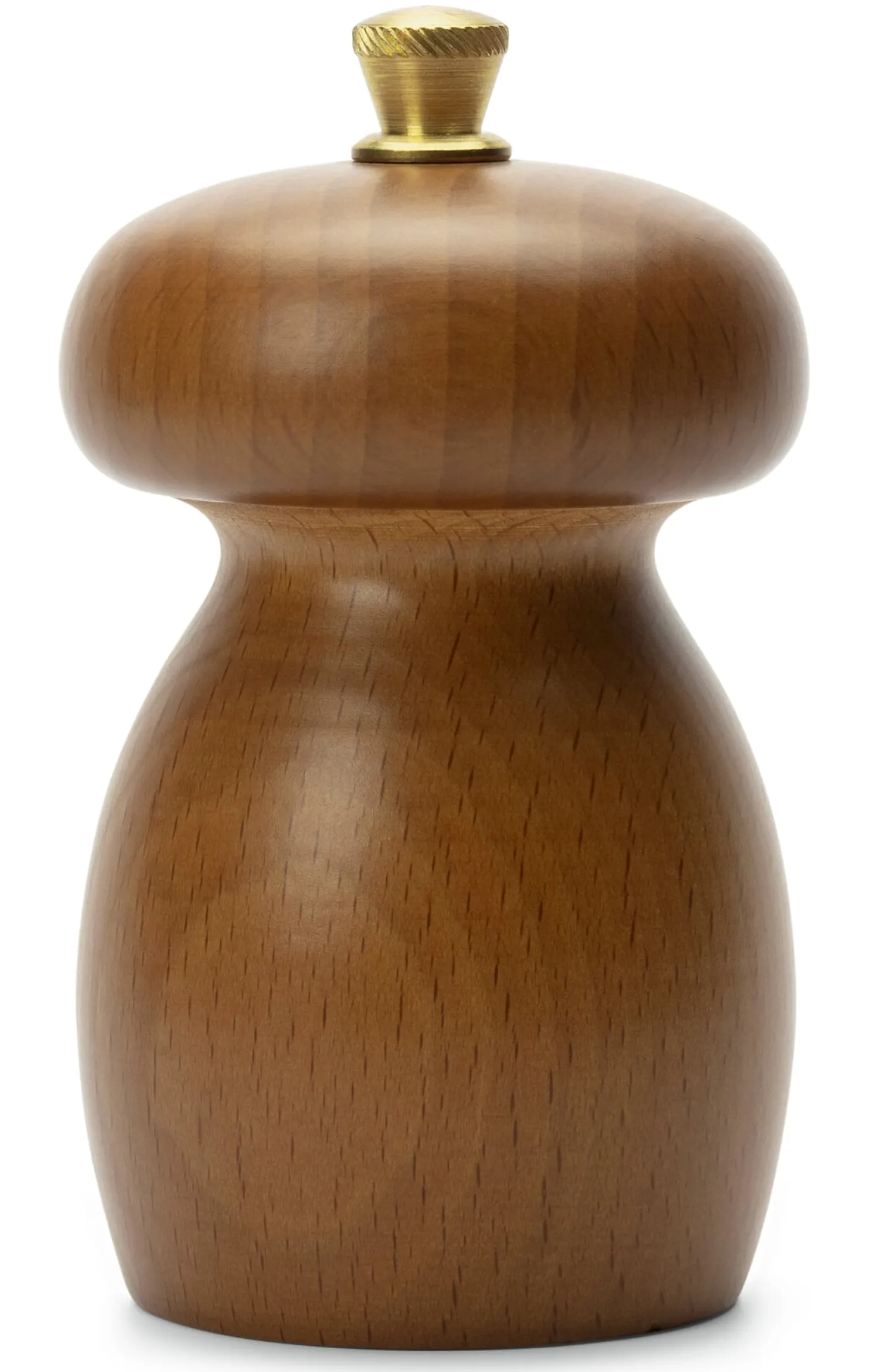 Italienische Gewürzmühle Fungus