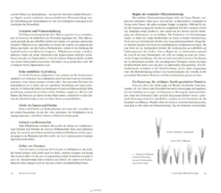 Journal Culinaire