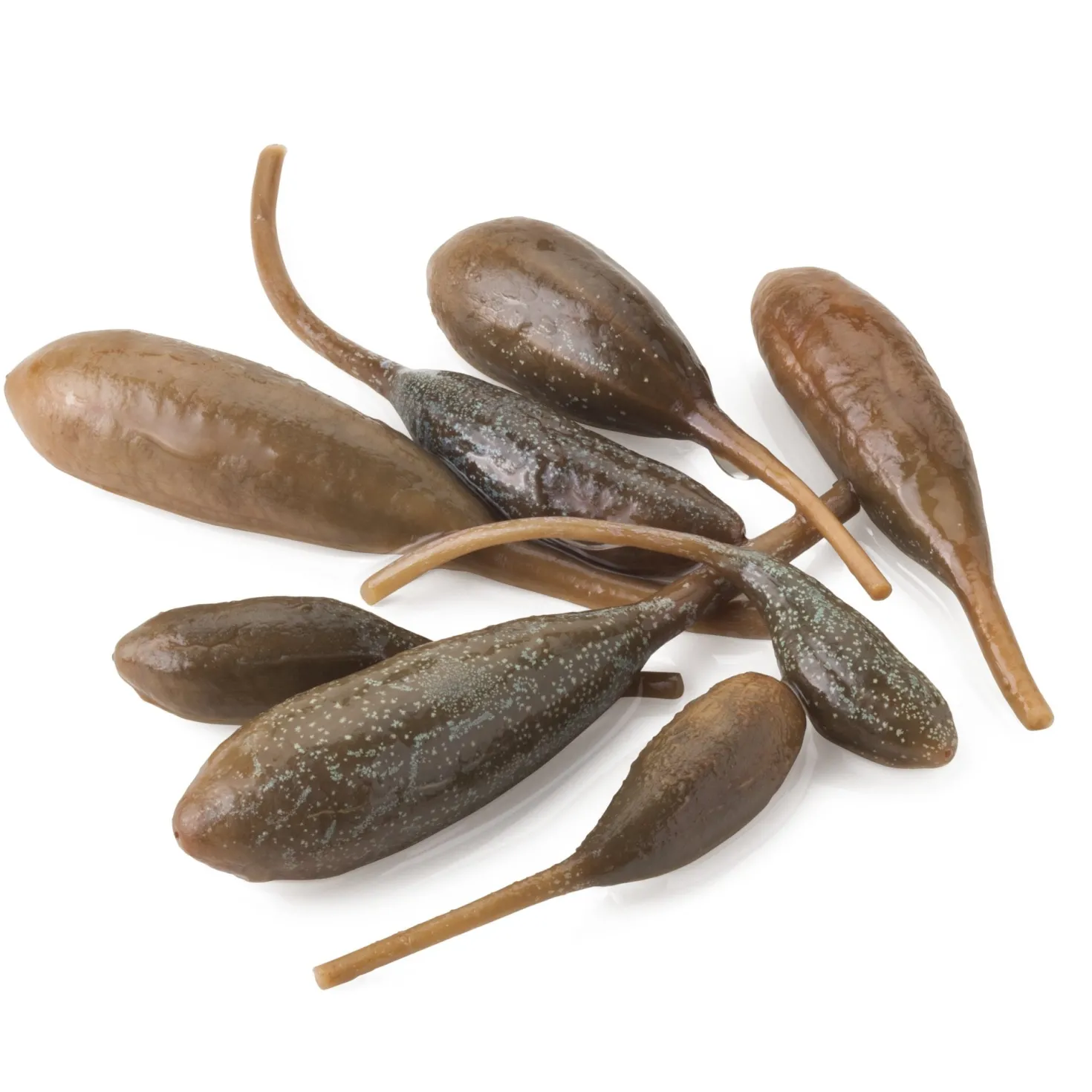 Kapernäpfel von Salina