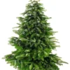 Keinachtsbaum® Stecktanne