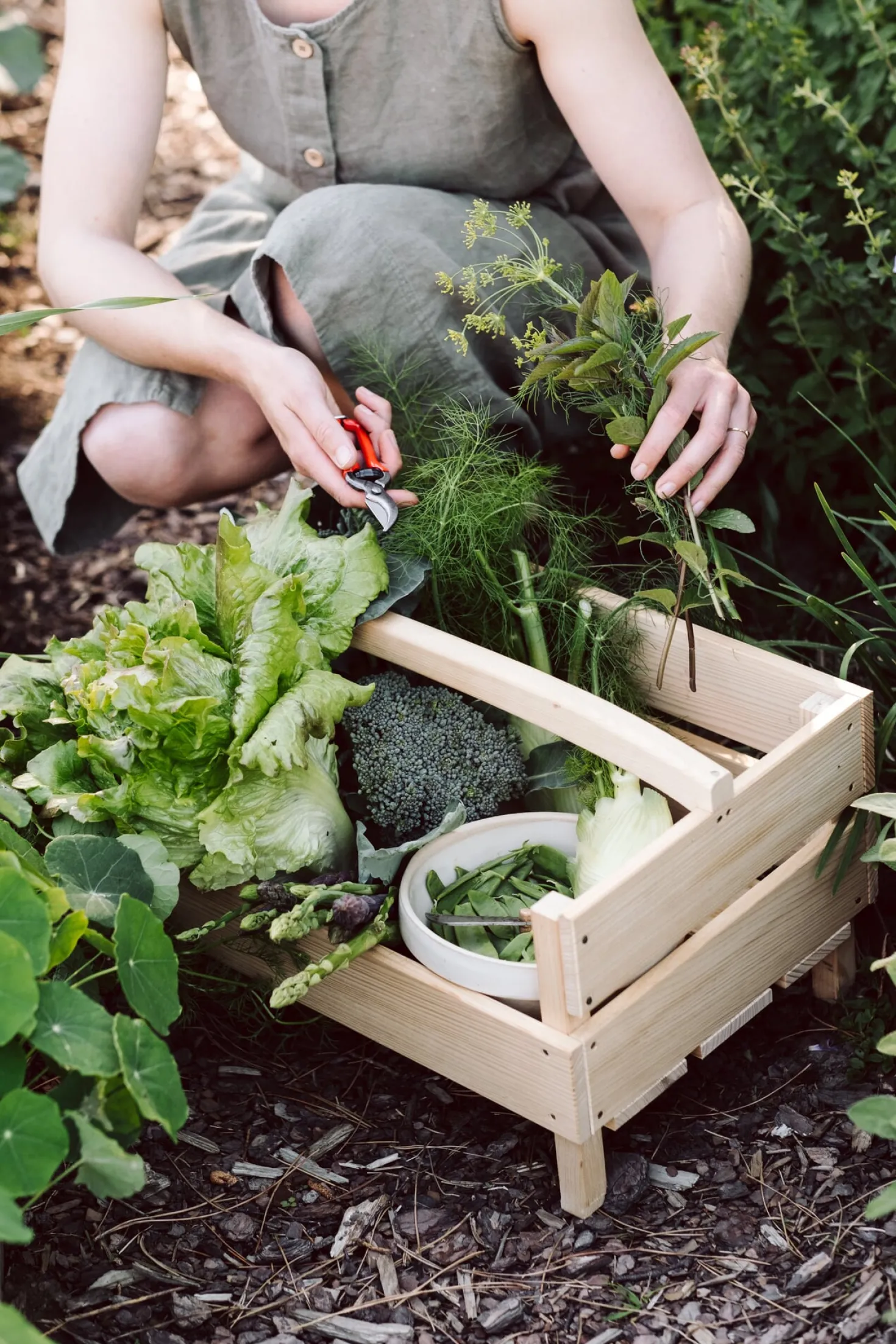 Kleine Gartenschere