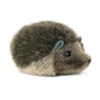 Kösener Igelchen