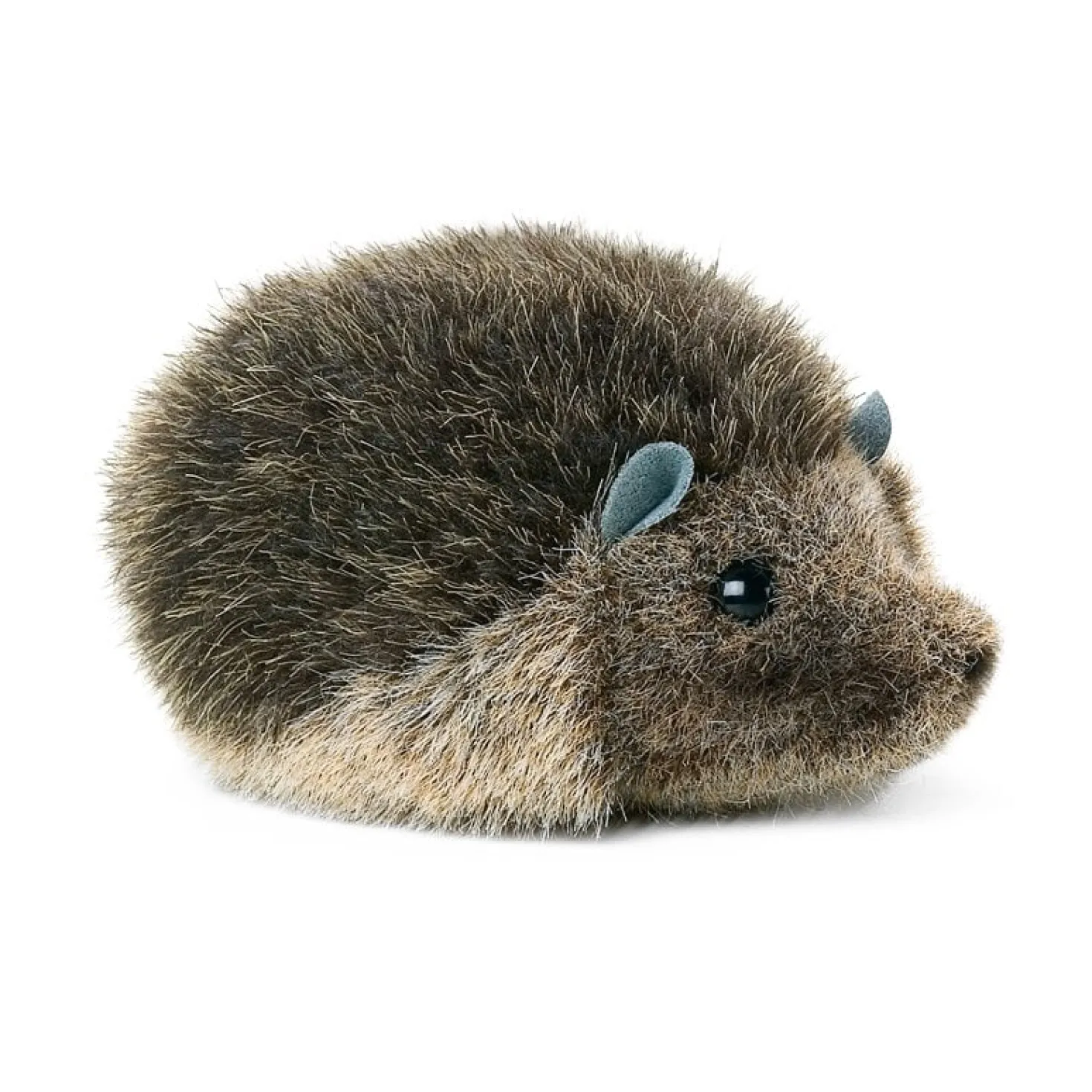 Kösener Igelchen