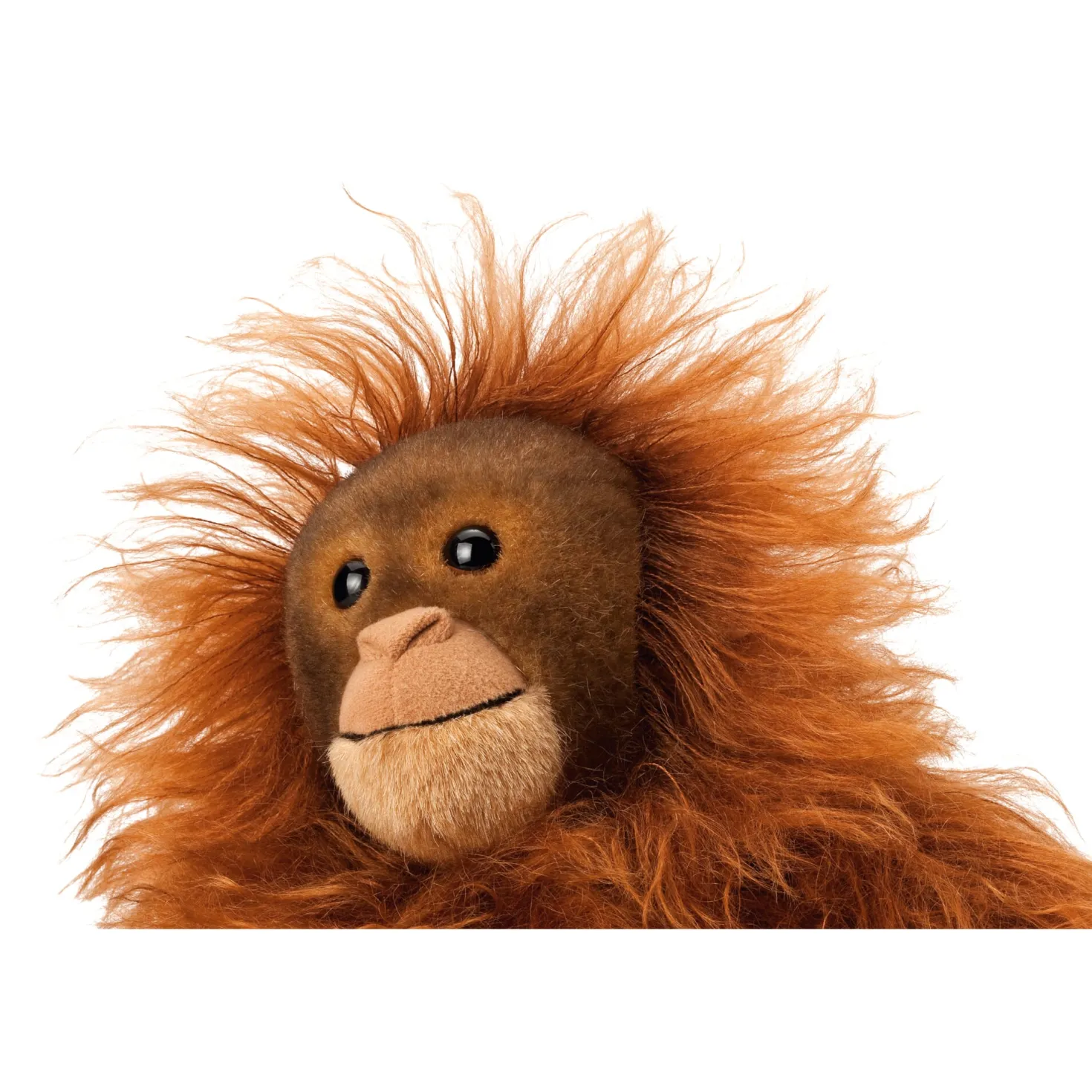 Kösener Orang-Utan