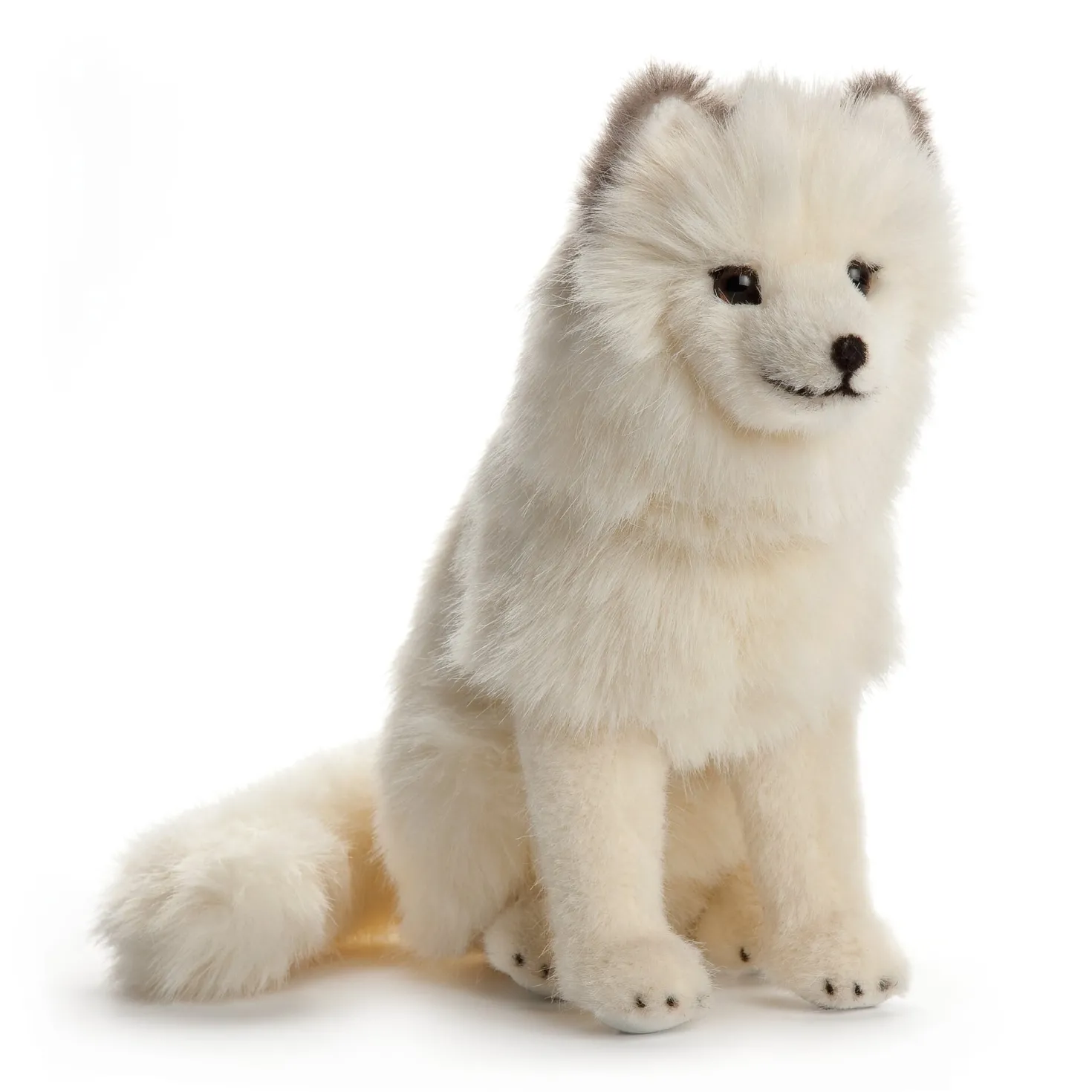 Kösener Polarfuchs