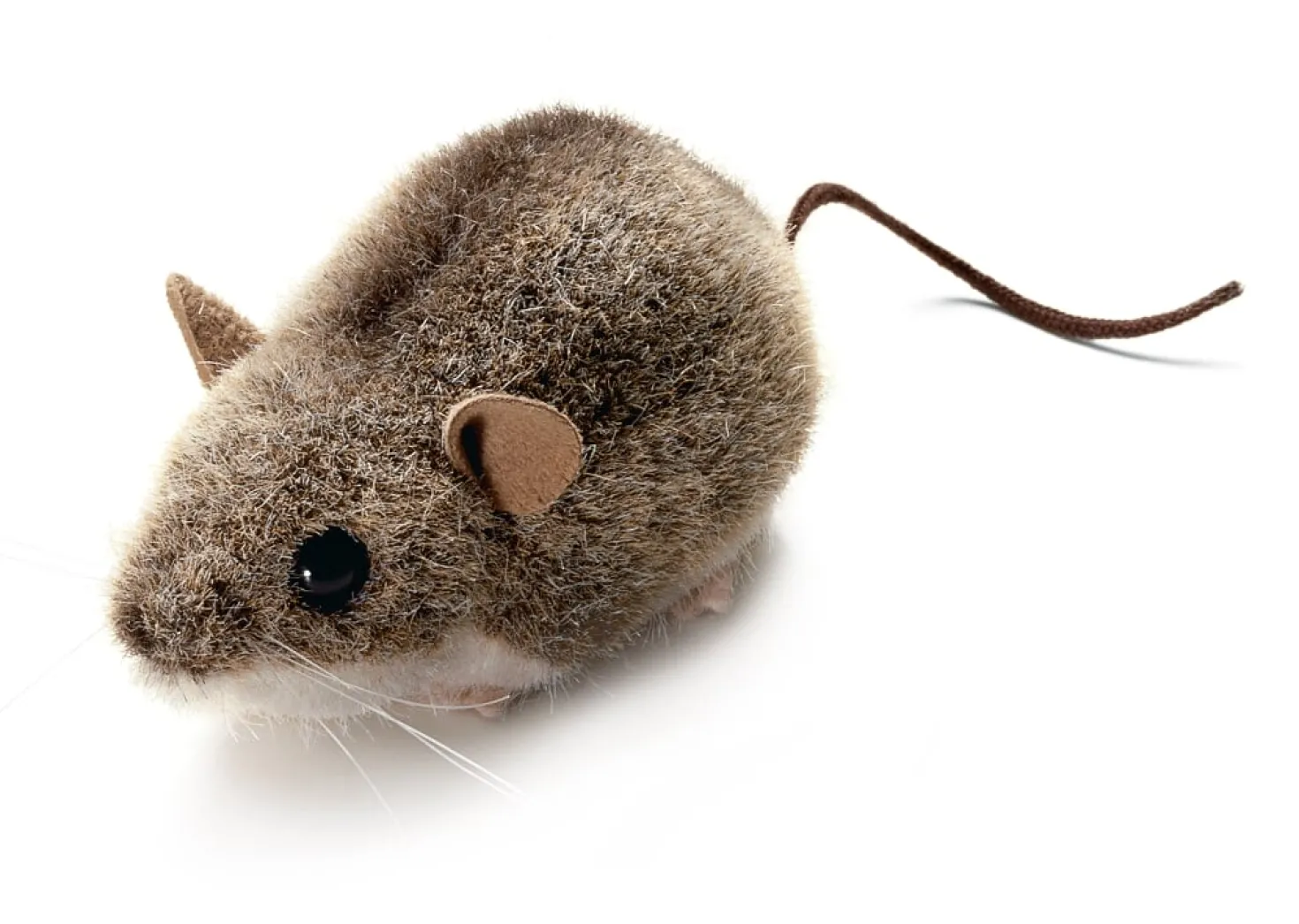 Kösener Waldmaus