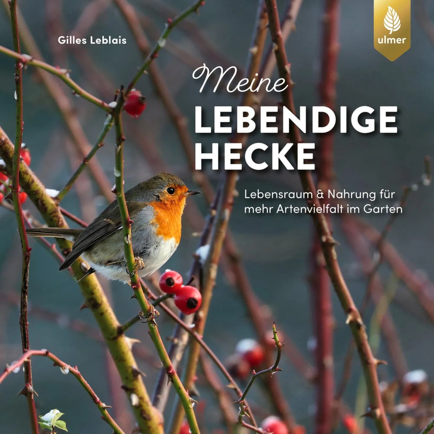 Meine lebendige Hecke