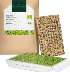 Microgreens Bio-Saatpad