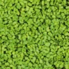 Microgreens Bio-Saatpad