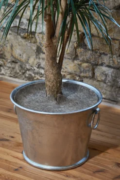 Mulchscheibe Schafwollfilz