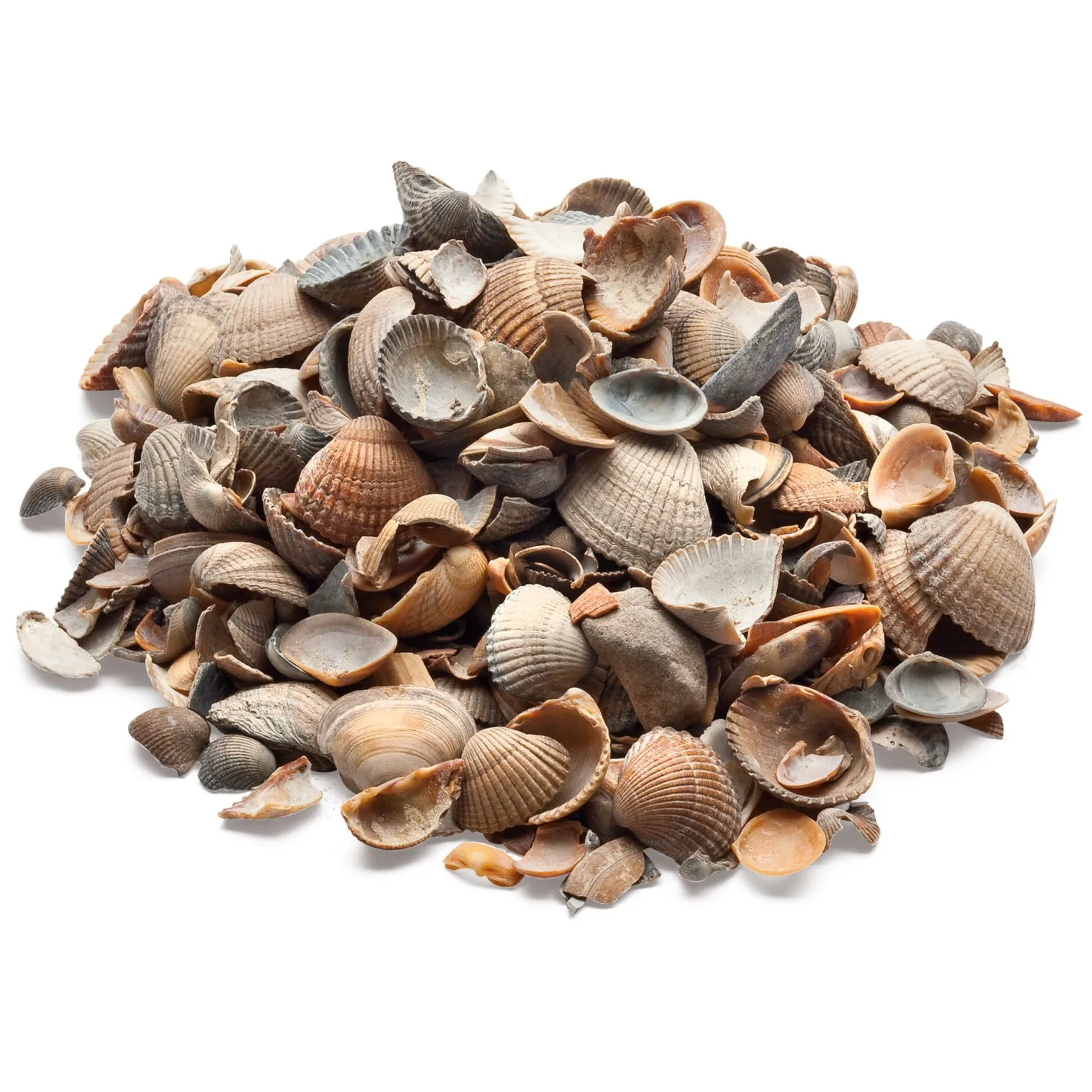 Muschelmulch