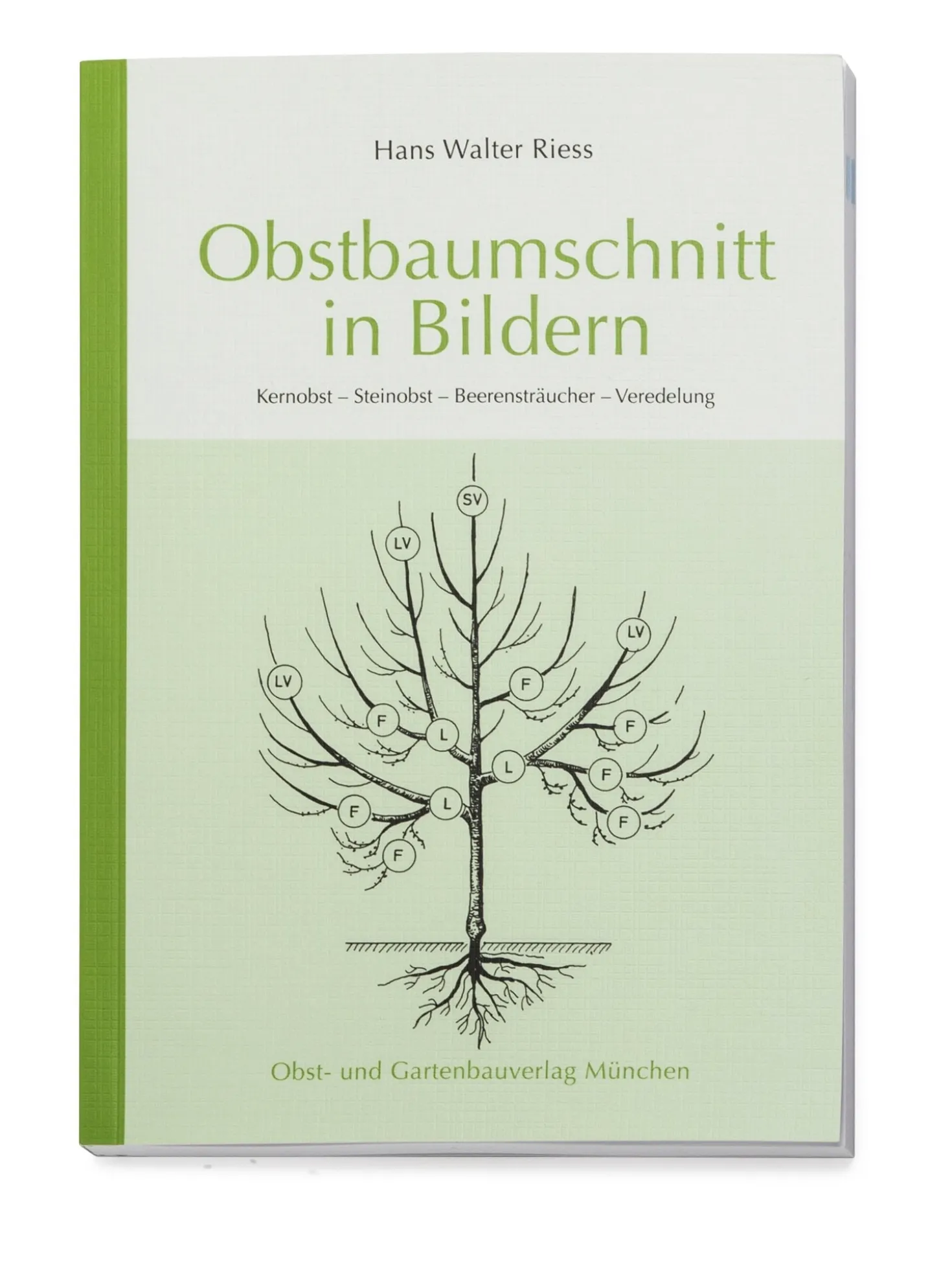 Obstbaumschnitt in Bildern
