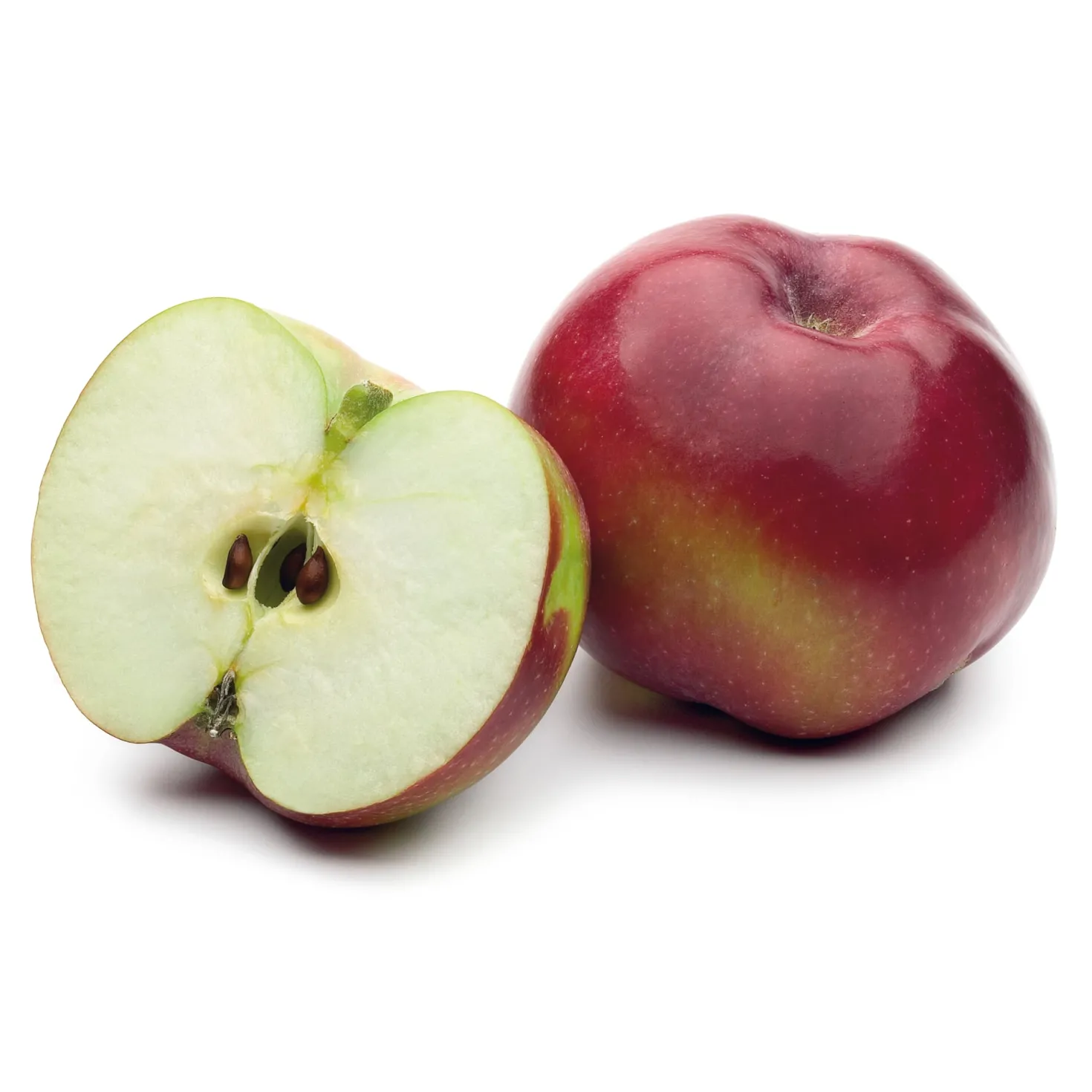 Obstgehölz Säulenapfel 'Black McIntosh'